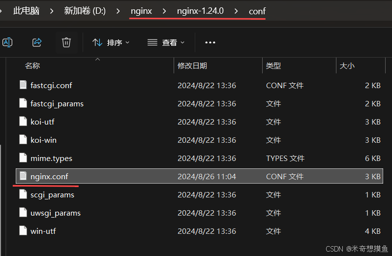 Windows下nginx+花生壳配置（多站点使用）_nginxwindows默认访问index.html-CSDN博客