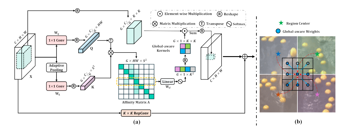 (a) A schematic diagram of our proposed dynamic convolution (ContMix). (b) An illustration of ContMix’s ability in capturing long-range dependencies and preserving inductive biases.