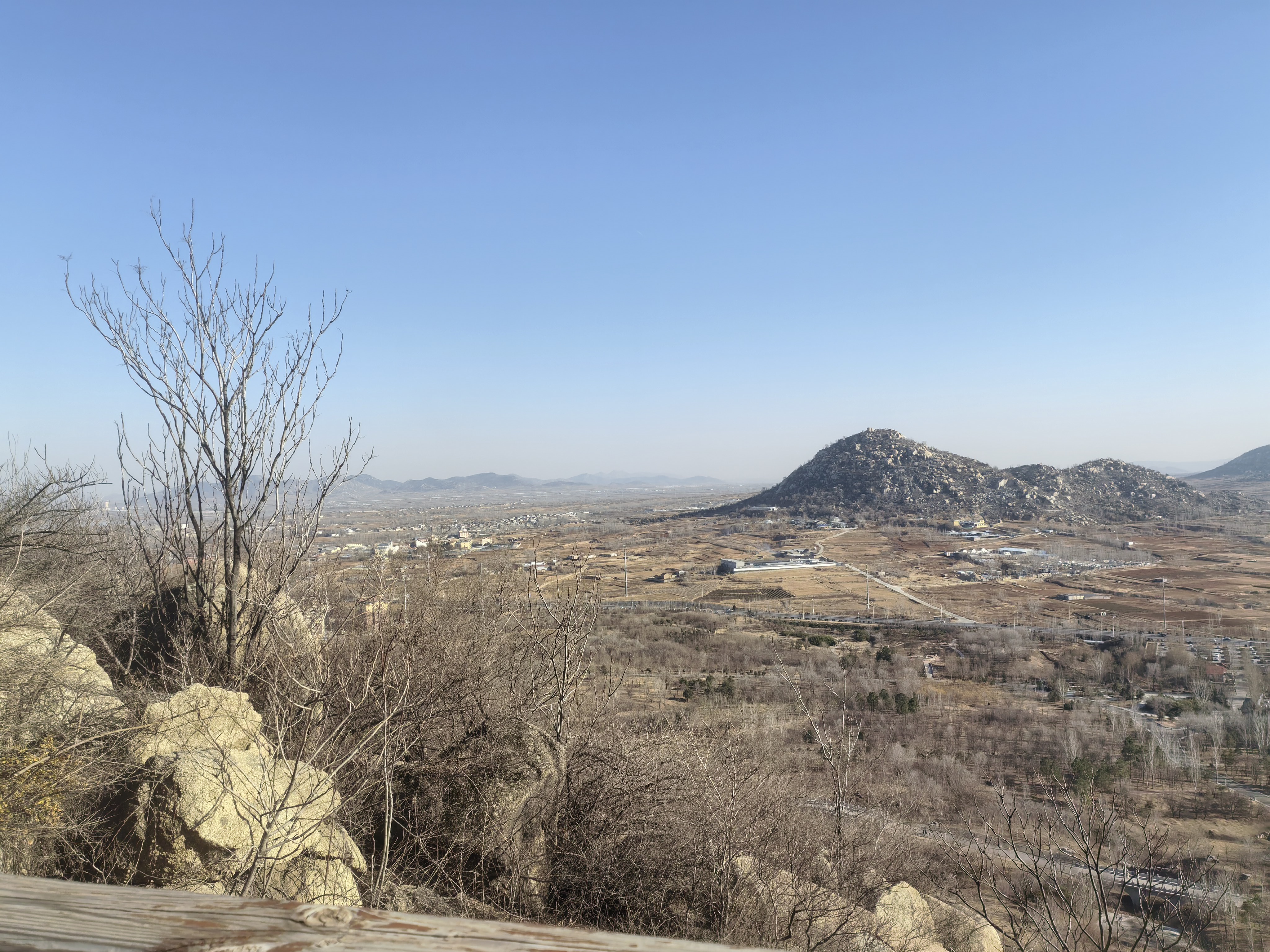 文章图片