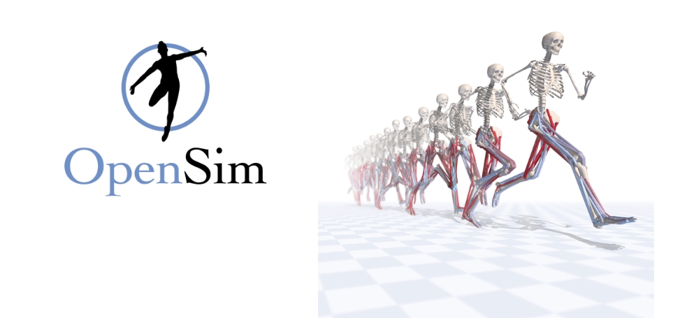 Matlab Opensim Api 基于OpenSim的Matlab联动配置_opensim账户如何创建-CSDN博客
