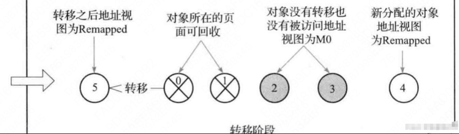 Java程序员廖志伟