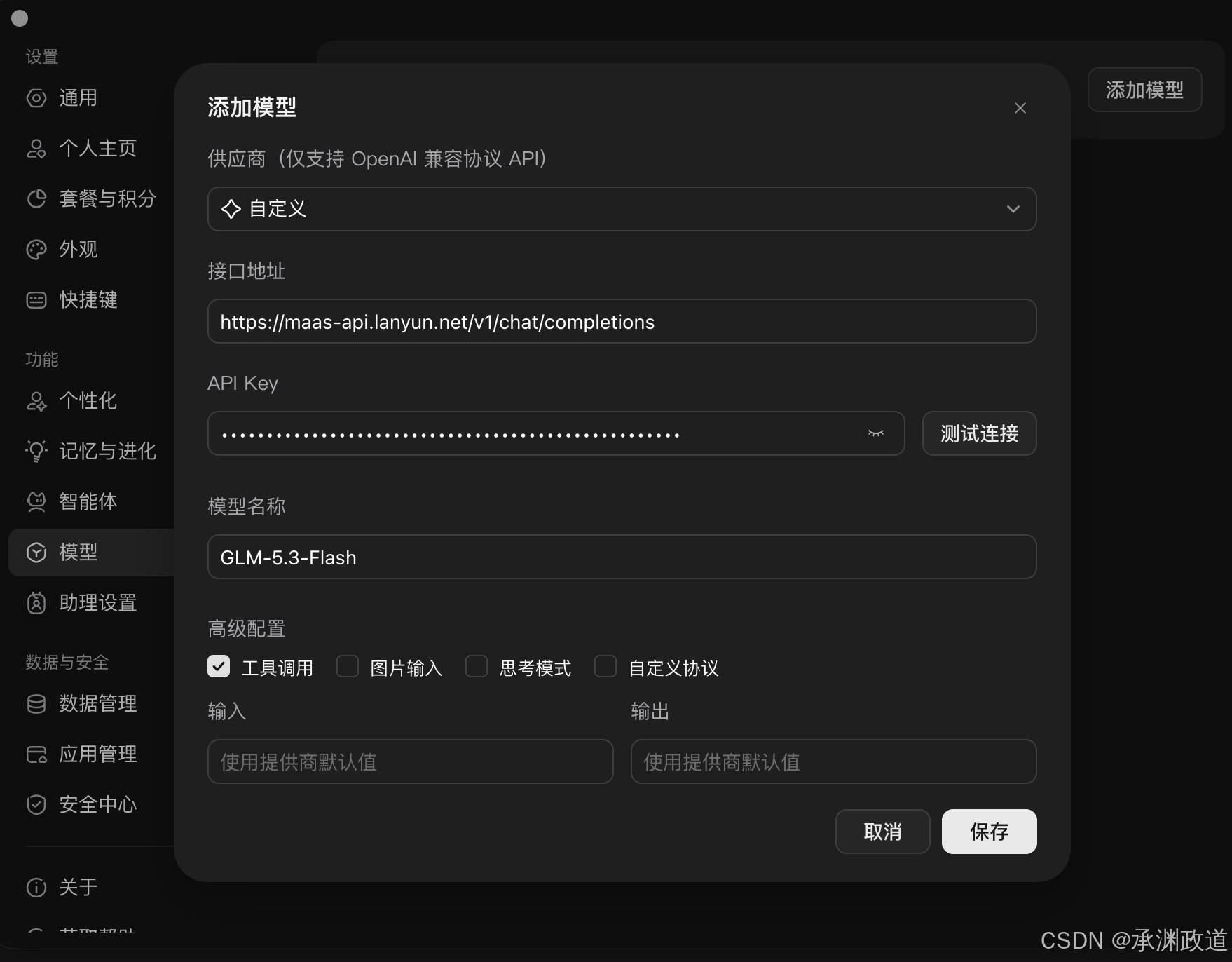 WorkBuddy 自定义模型配置：蓝耘接口、遮蔽的 Key 和工具调用选项