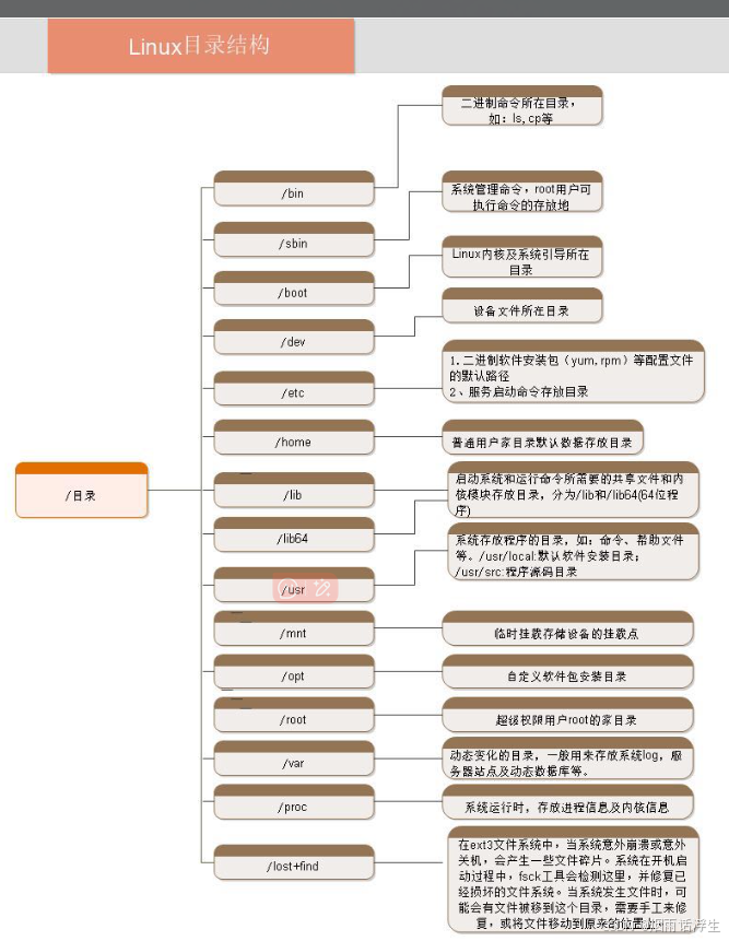 6、liunx目录的功能-CSDN博客