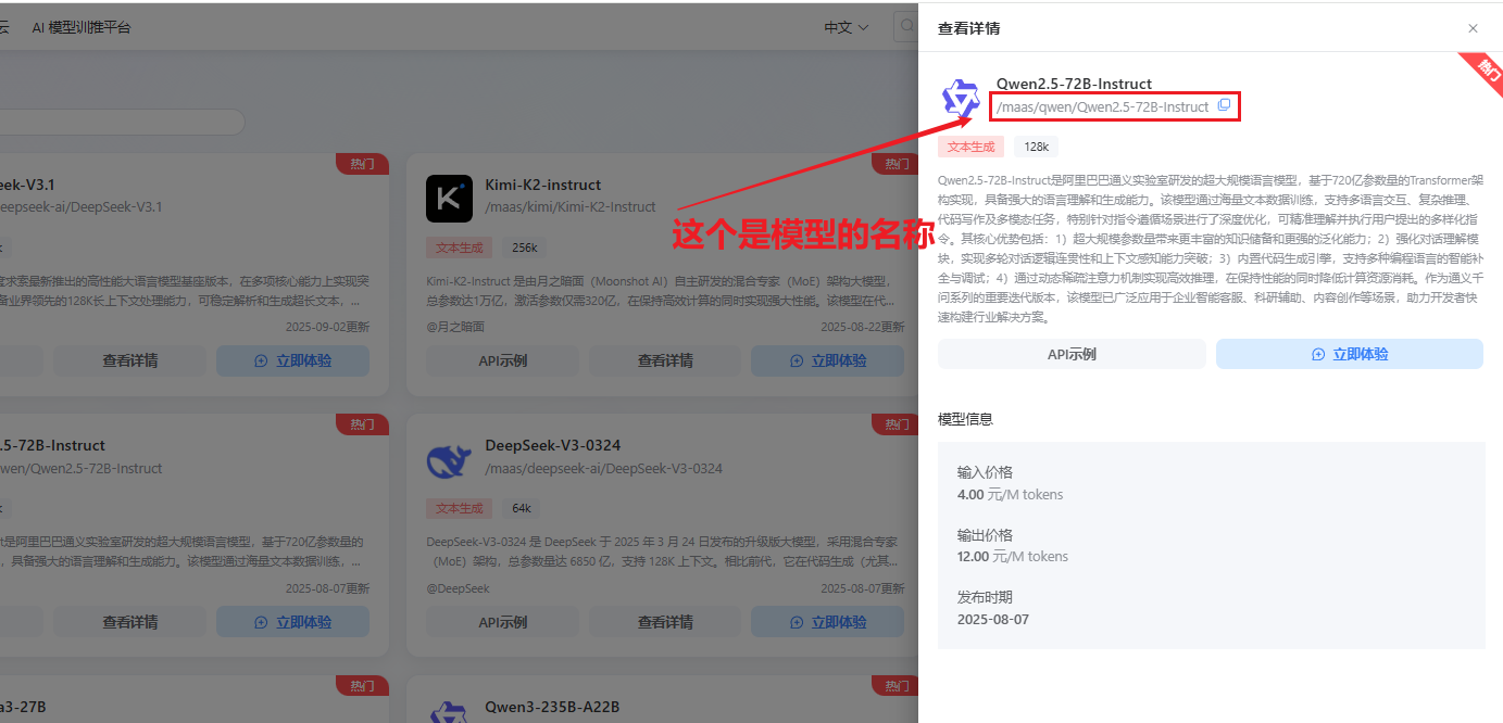 模型详情页面