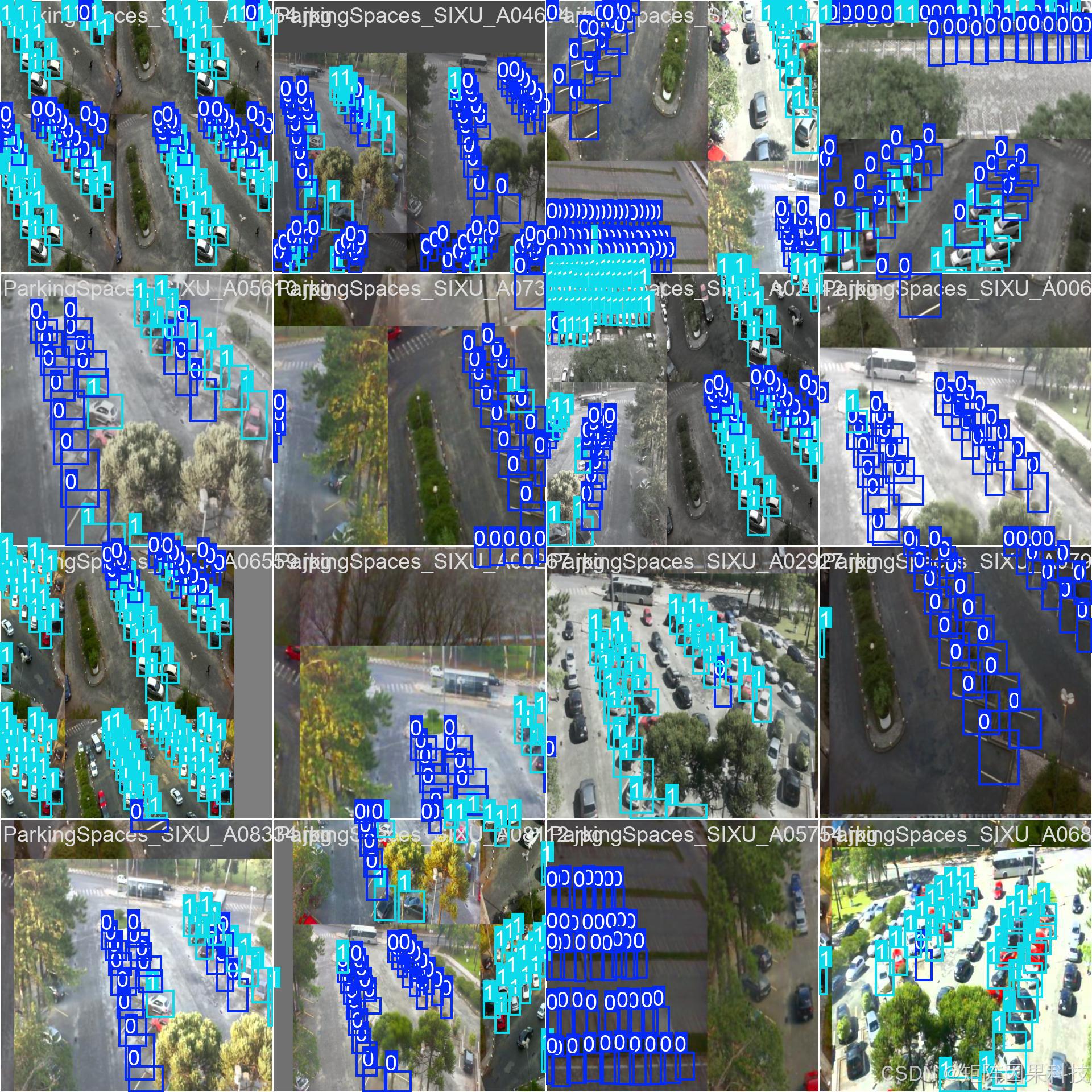Dataset sample visualization