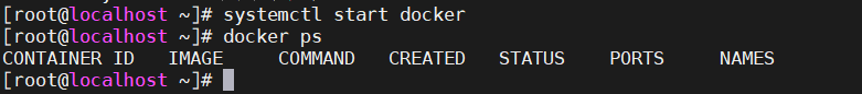 Docker的下载安装及基本使用_docker下载