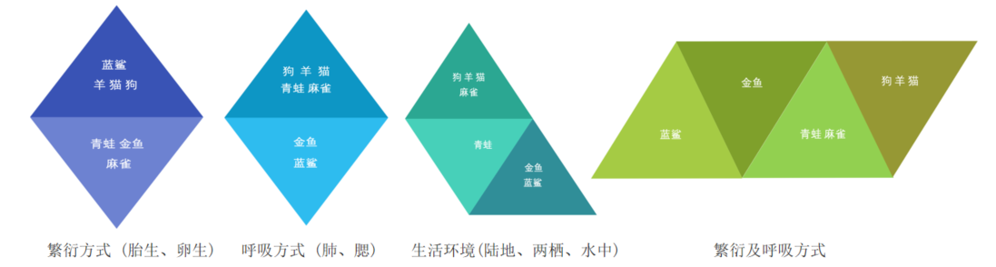 聚类算法详解-CSDN博客