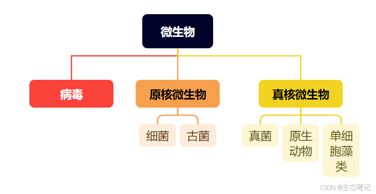 生物/微生物的分类_三域六界生物分类系统-CSDN博客