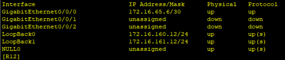 fzh-IP实验------OSPF综合实验