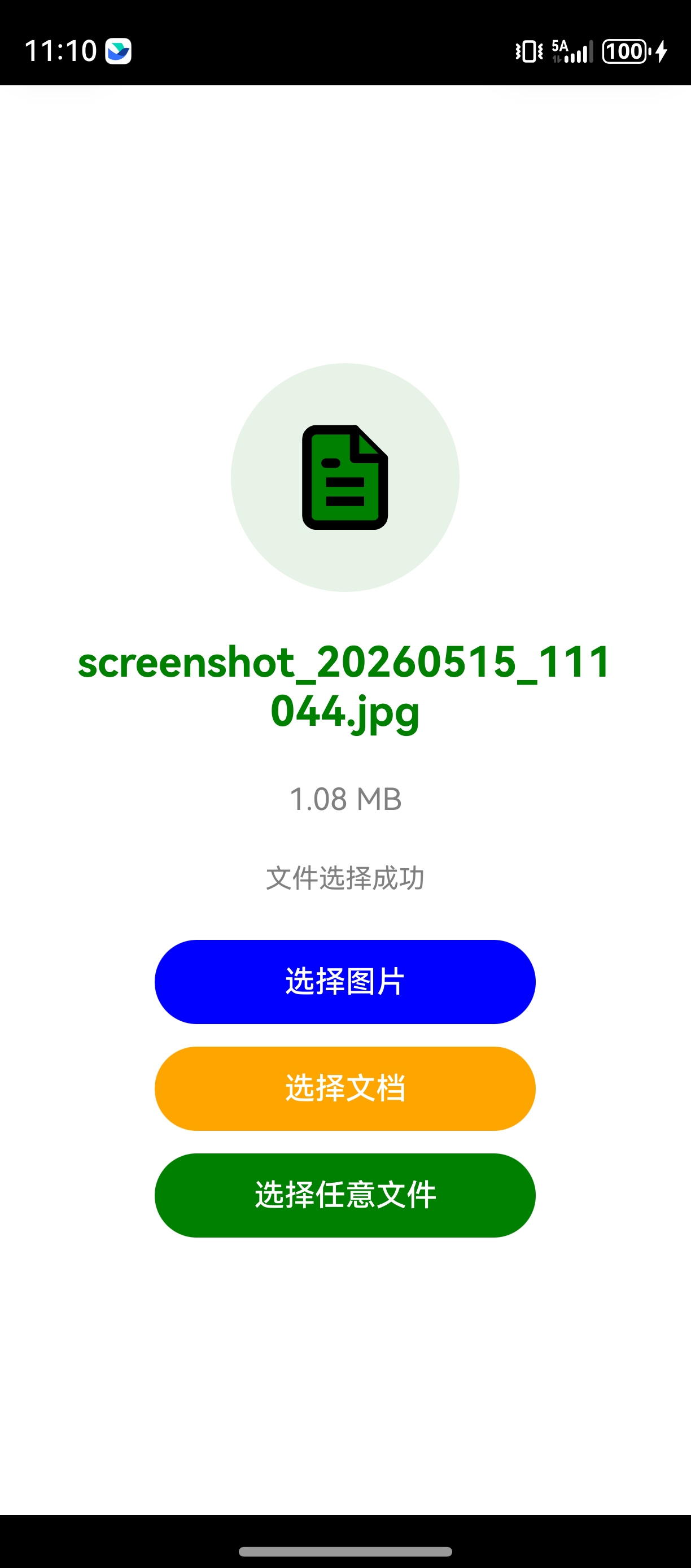 图片选择成功页面