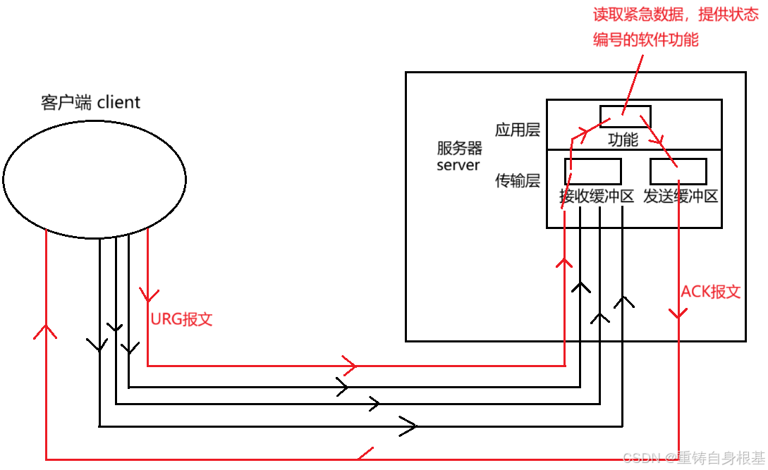 【linux】网络基础（十）TCP协议，TCP协议报文格式，标志位ACK SYN RST FIN PSH URG，超时重传机制，三次握手，四次 ...