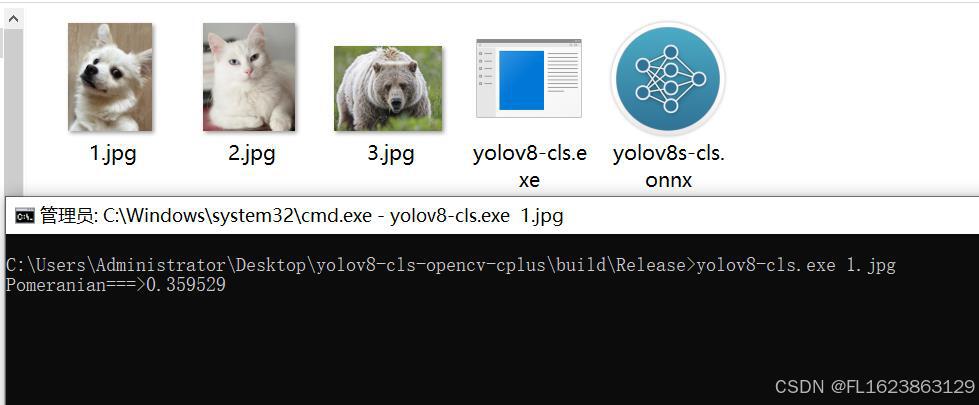 [C++]使用纯opencv部署yolov8-cls图像分类onnx模型