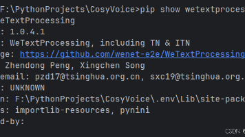 在 Windows 中安装 wetextprocessing的记录_wetextprocessing安装-CSDN博客