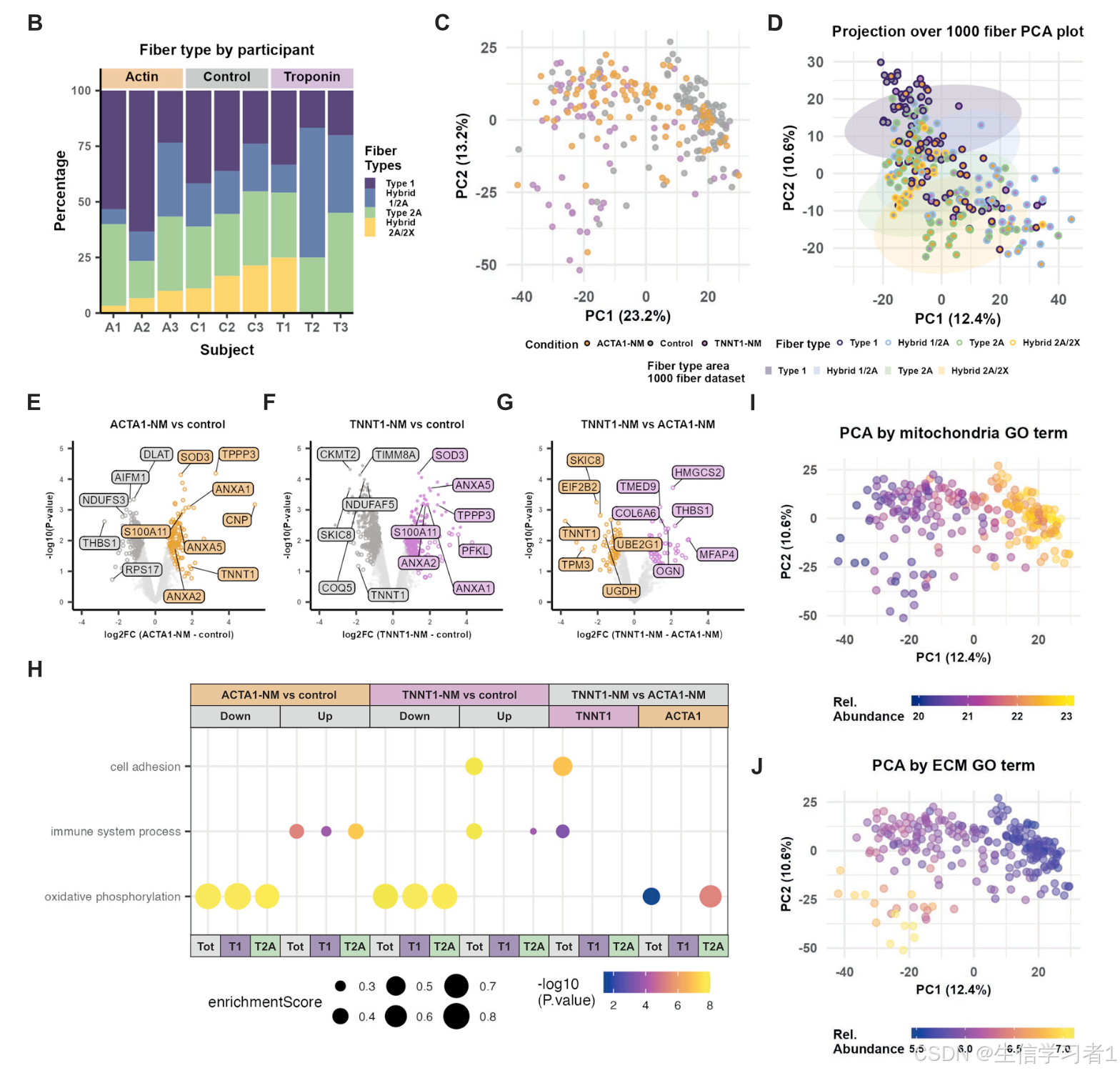 【科研绘图系列】R语言绘制堆积图和散点图（stacked plot & scatter plot）_堆积图r语言代码-CSDN博客