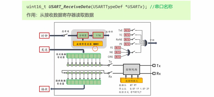 【STM32】江科大STM32小白养成记