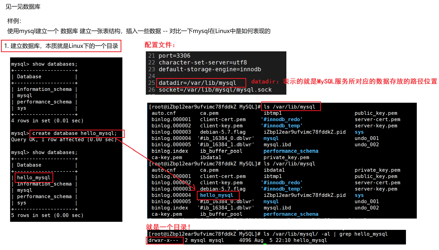 MySQL 数据库入门精讲：从数据库基础概念、SQL 实操到底层架构-CSDN博客