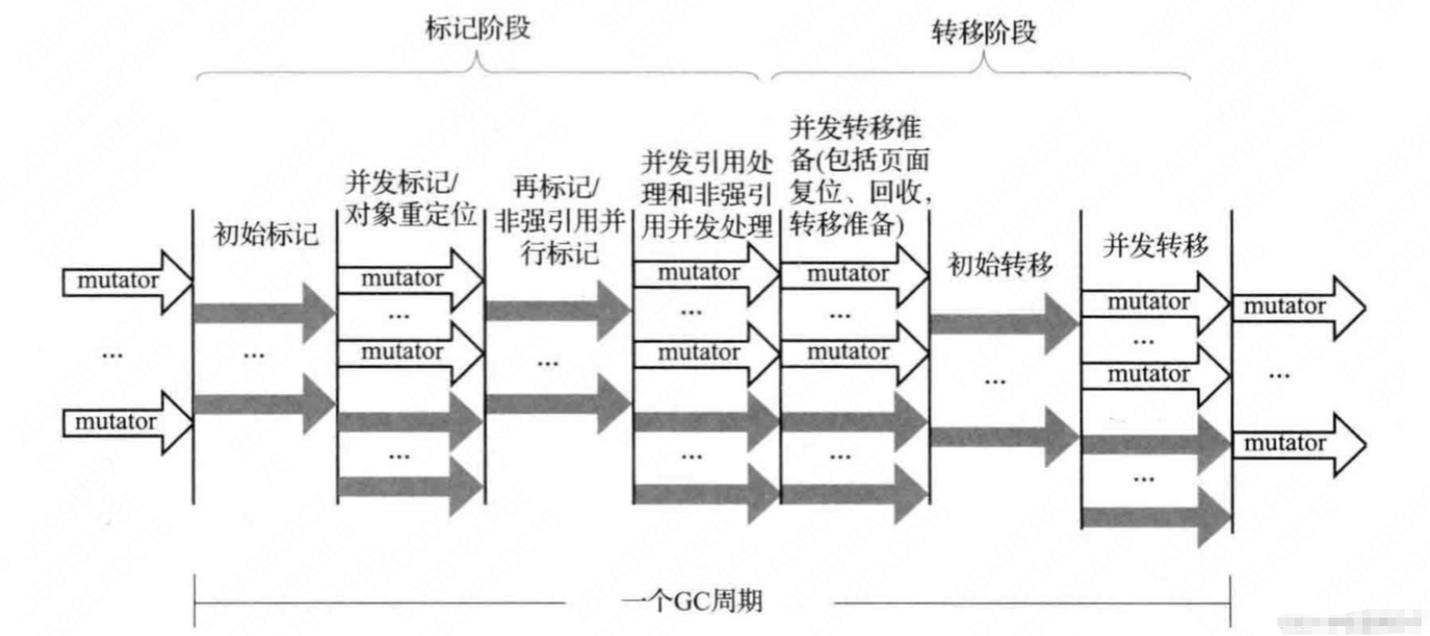 Java程序员廖志伟