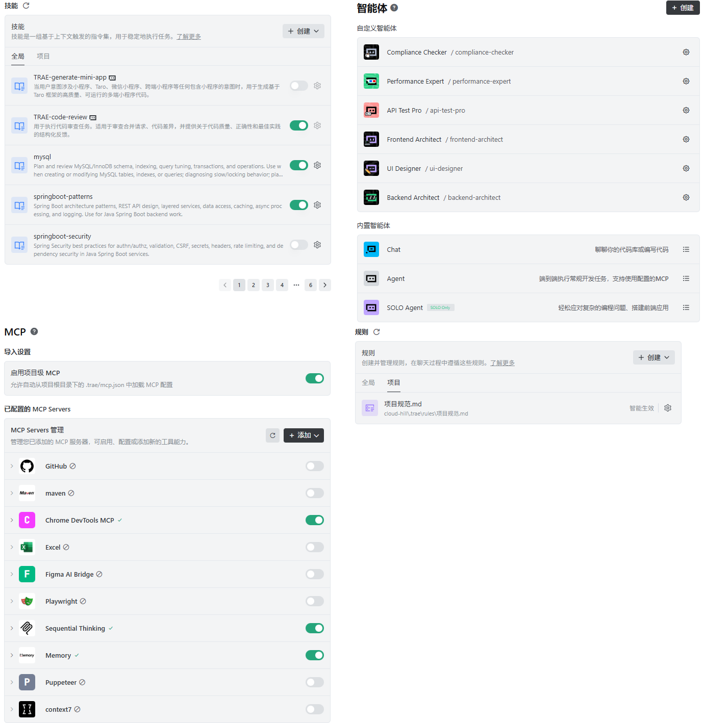 Trae SOLO 配置界面截图