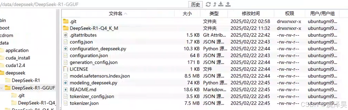Ktransformers DeepSeek-R1 671B 部署_python_虞泽昊-DeepSeek技术社区