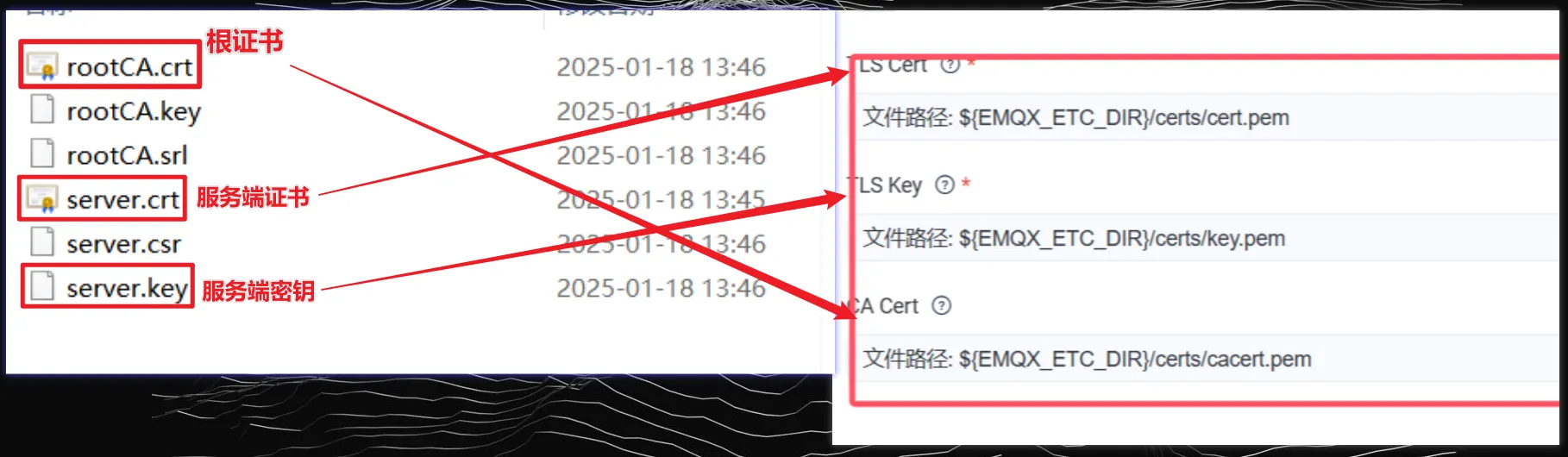 在这里插入图片描述