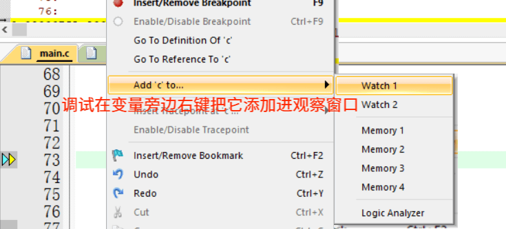 调试查看变量窗口