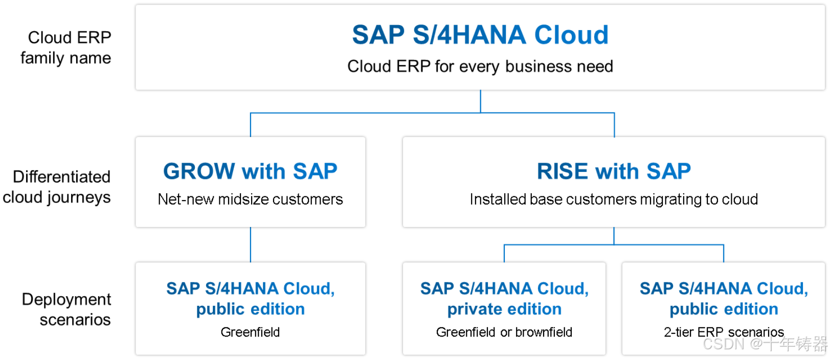 GROW and RISE with SAP, 都是干啥的?_sap rise-CSDN博客