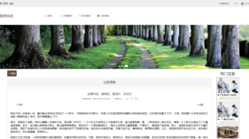 文章图片