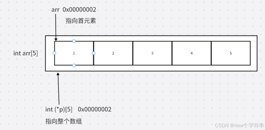 数组指针