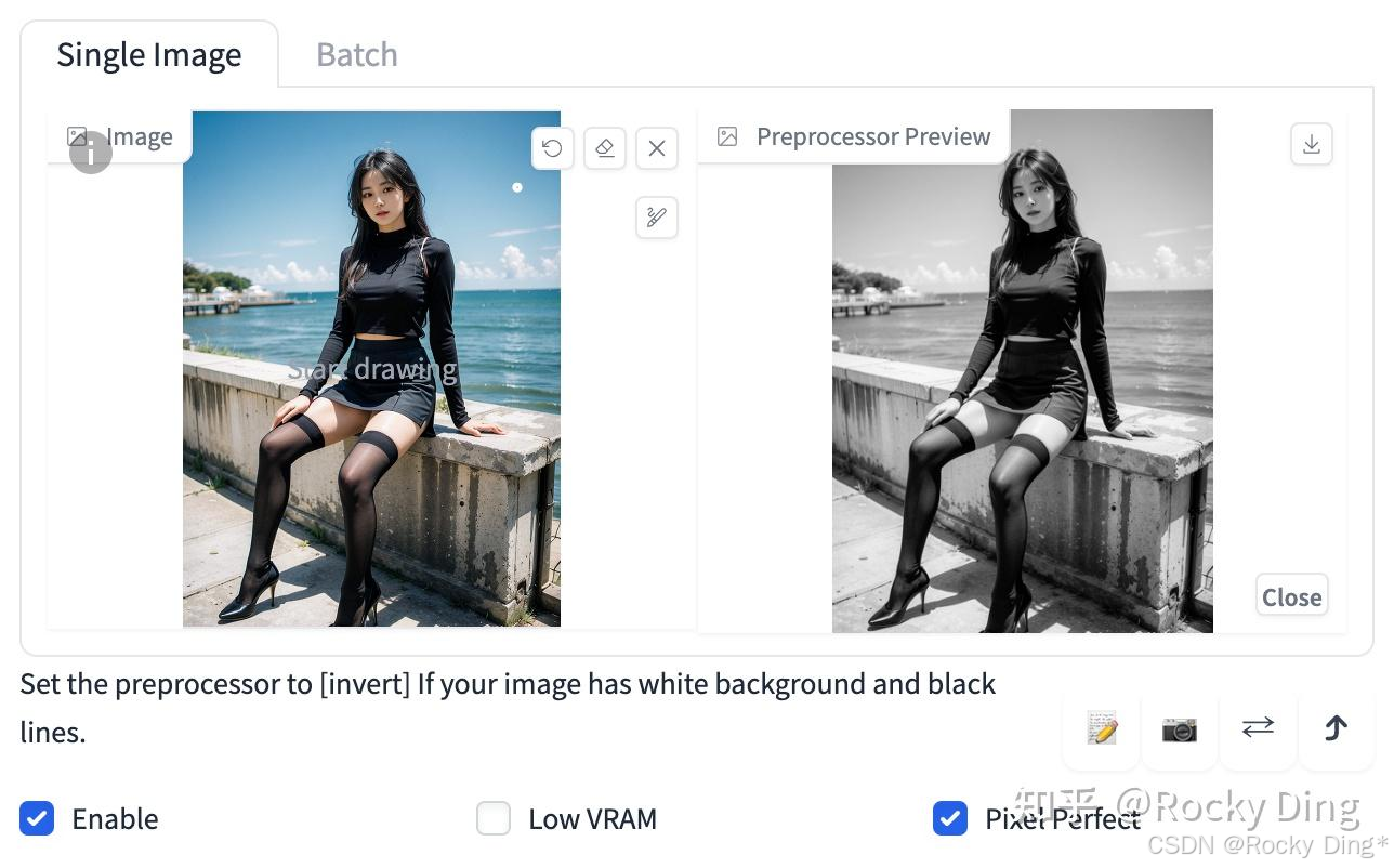 recolor_luminance预处理效果