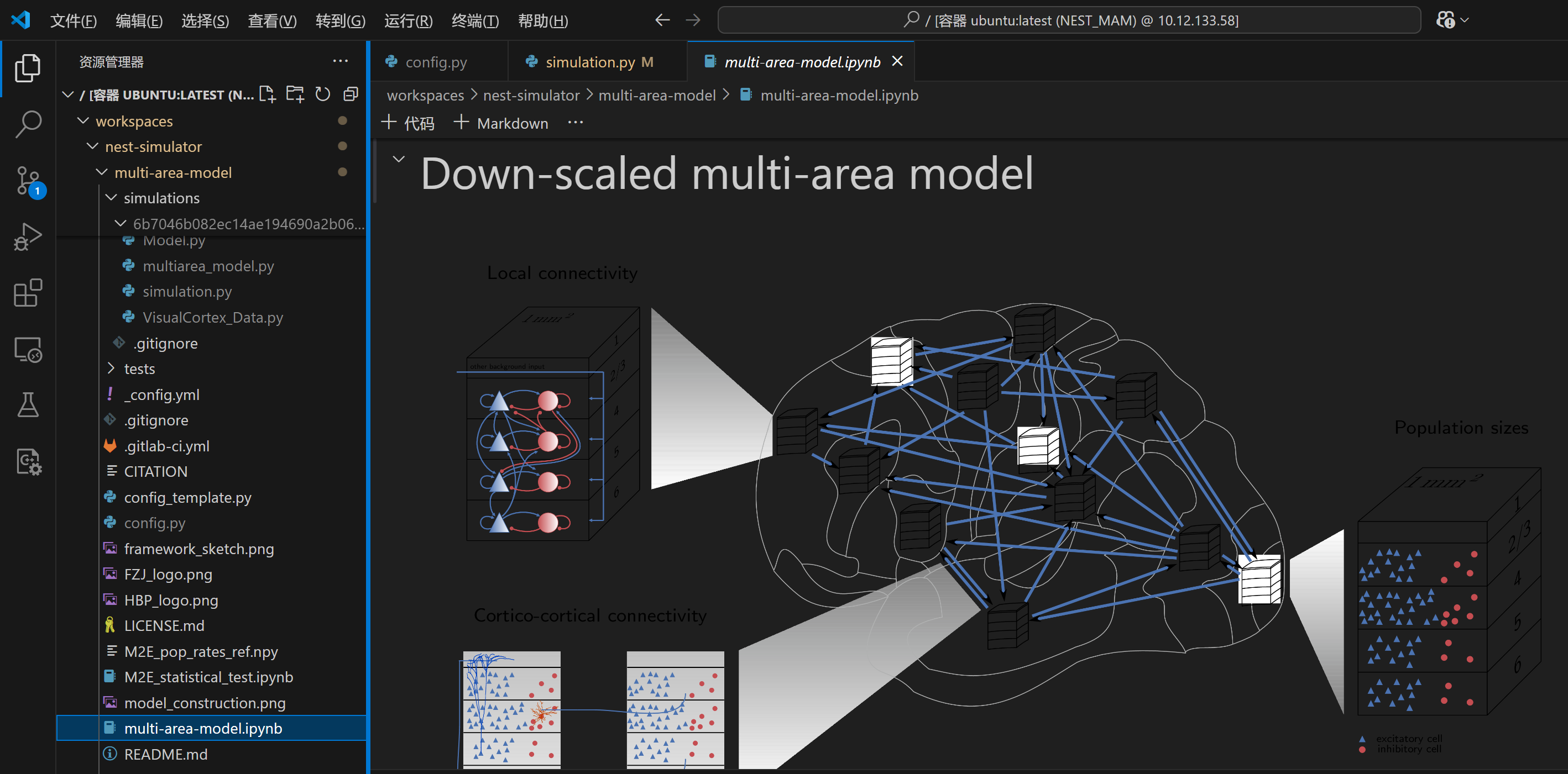 使用网页版Jupyter Notebook和VScode打开.ipynb文件