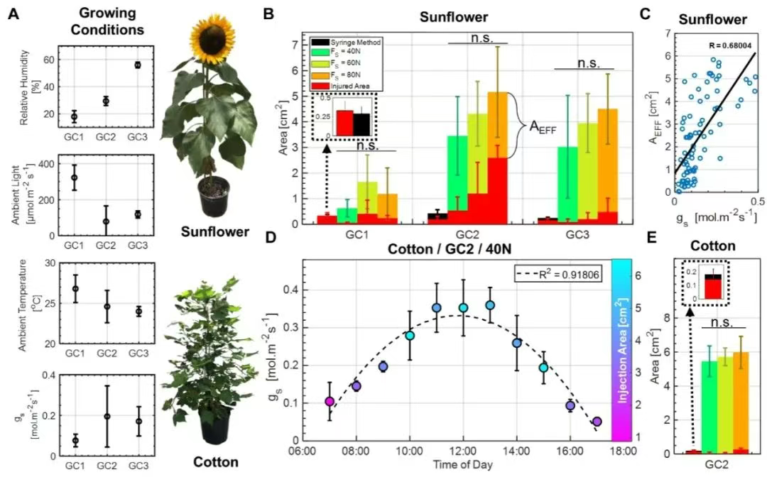 生物夹怎么用Science Robotics：利用软机器人技术对多种植物进行原位叶面扩增，用于光学表型分析和生物工程_https://www.jmylbn.com_新闻资讯_第3张