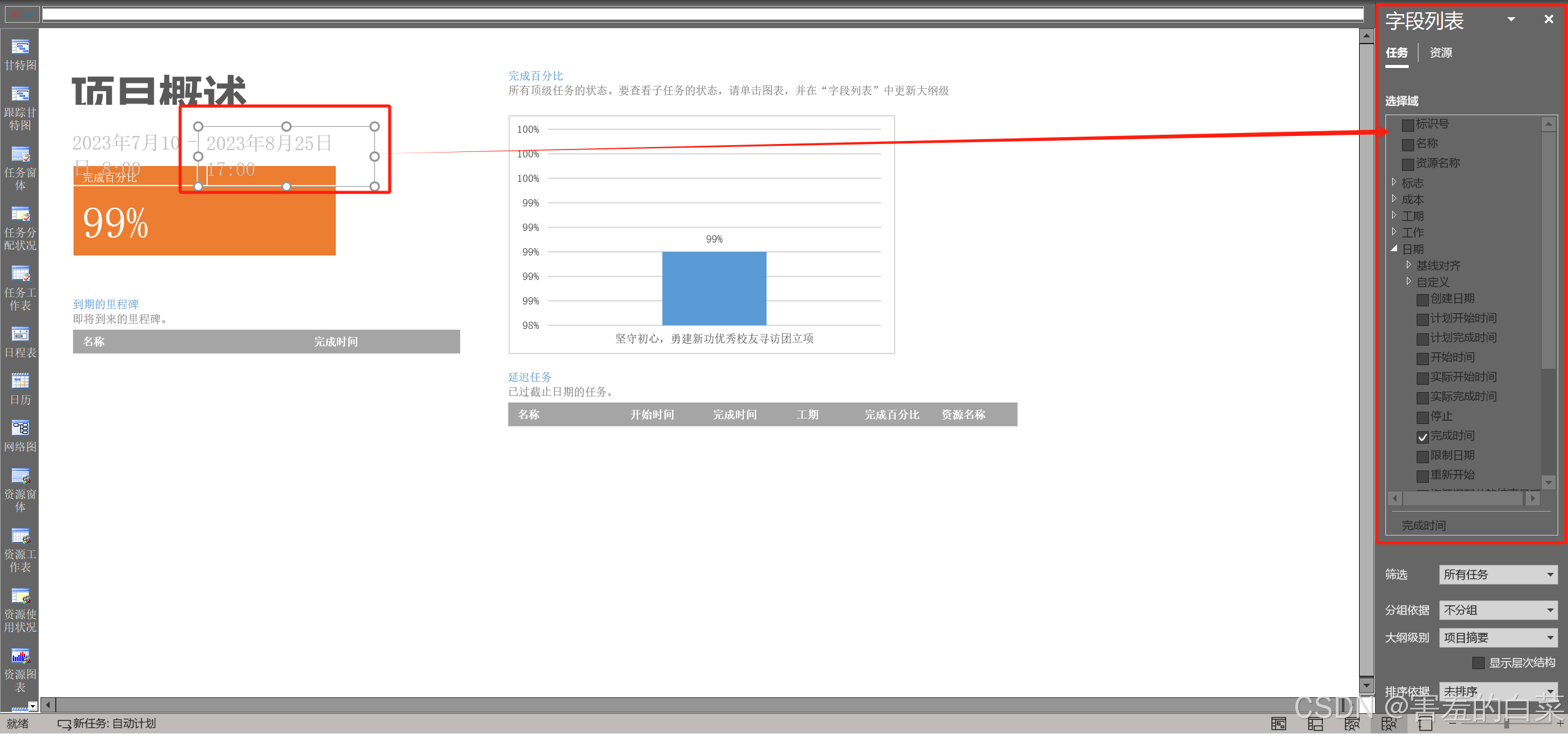 2025最新出版 Microsoft Project由入门到精通(九)_project中的自定义域-CSDN博客