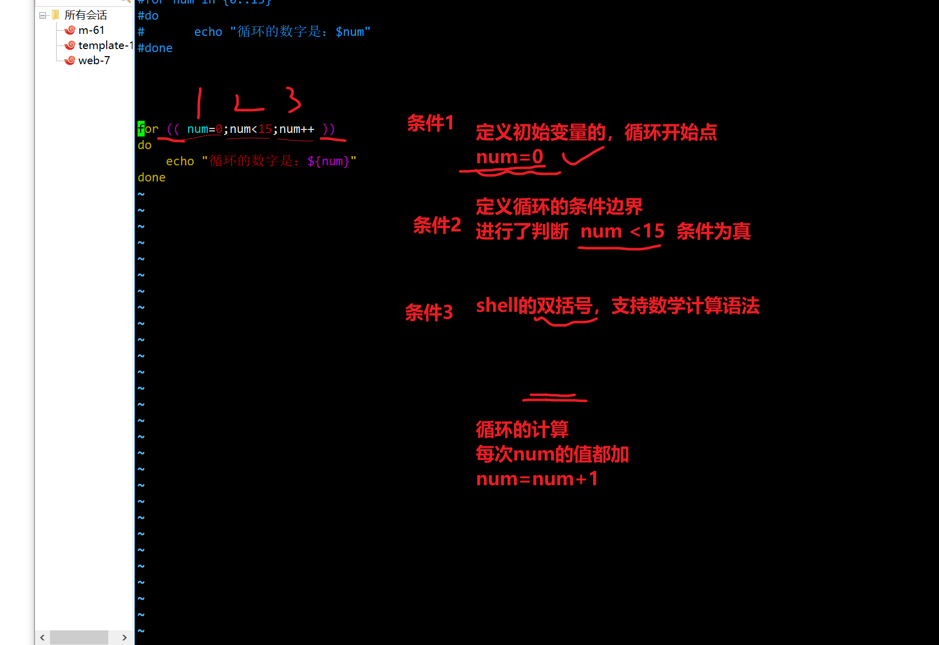 shell script for loop syntax | shell script for loop... shell脚本之循环语句(for、while)_shell for循环-CSDN博客