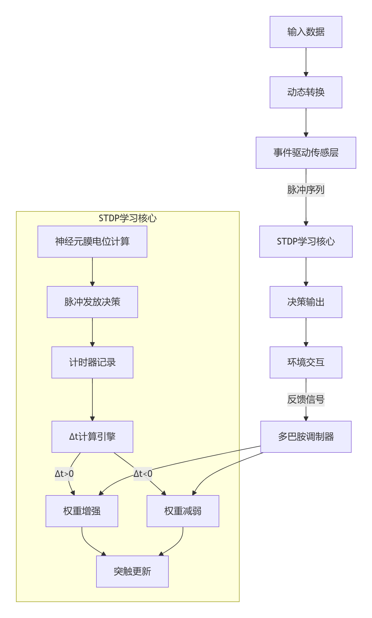 大脑的毫秒级学习密码：STDP(Spike-Timing Dependent Plasticity)如何重新定义神经网络进化法则-CSDN博客