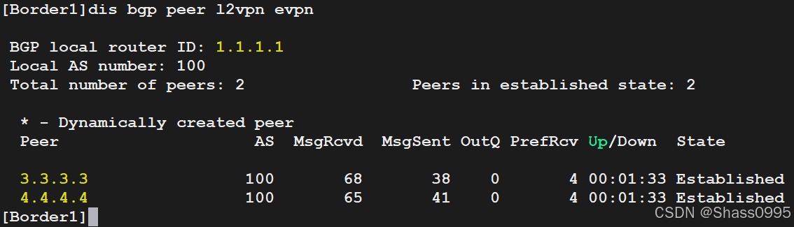 Border1_L2VPN_EVPN_PEER