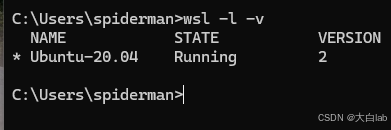 WSL2 (ubuntu20.04) 搭建_wsl2安装ubuntu-CSDN博客