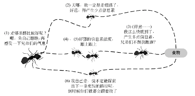 蚁群根据信息素觅食的过程