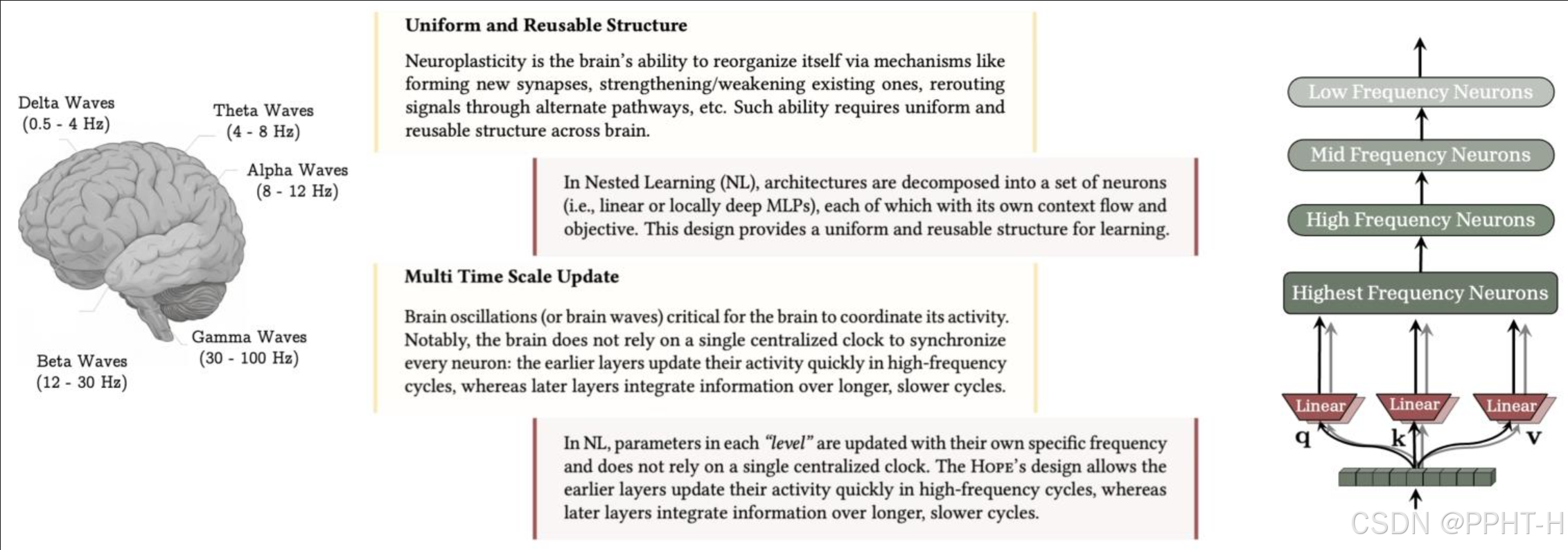 图1:大脑中统一且可复用的结构以及多时间尺度更新是解锁人类持续学习能力的关键组成部分。嵌套学习(NL)允许大脑的每个组件进行多时间尺度更新,同时表明像Transformer这样的知名架构实际上是具有不同频率更新的线性层。