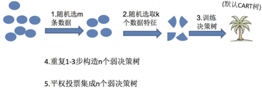 随机森林