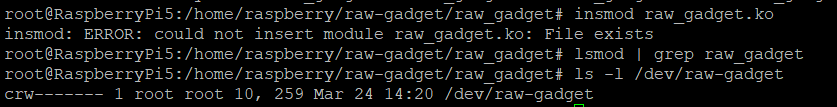 raw-gadget