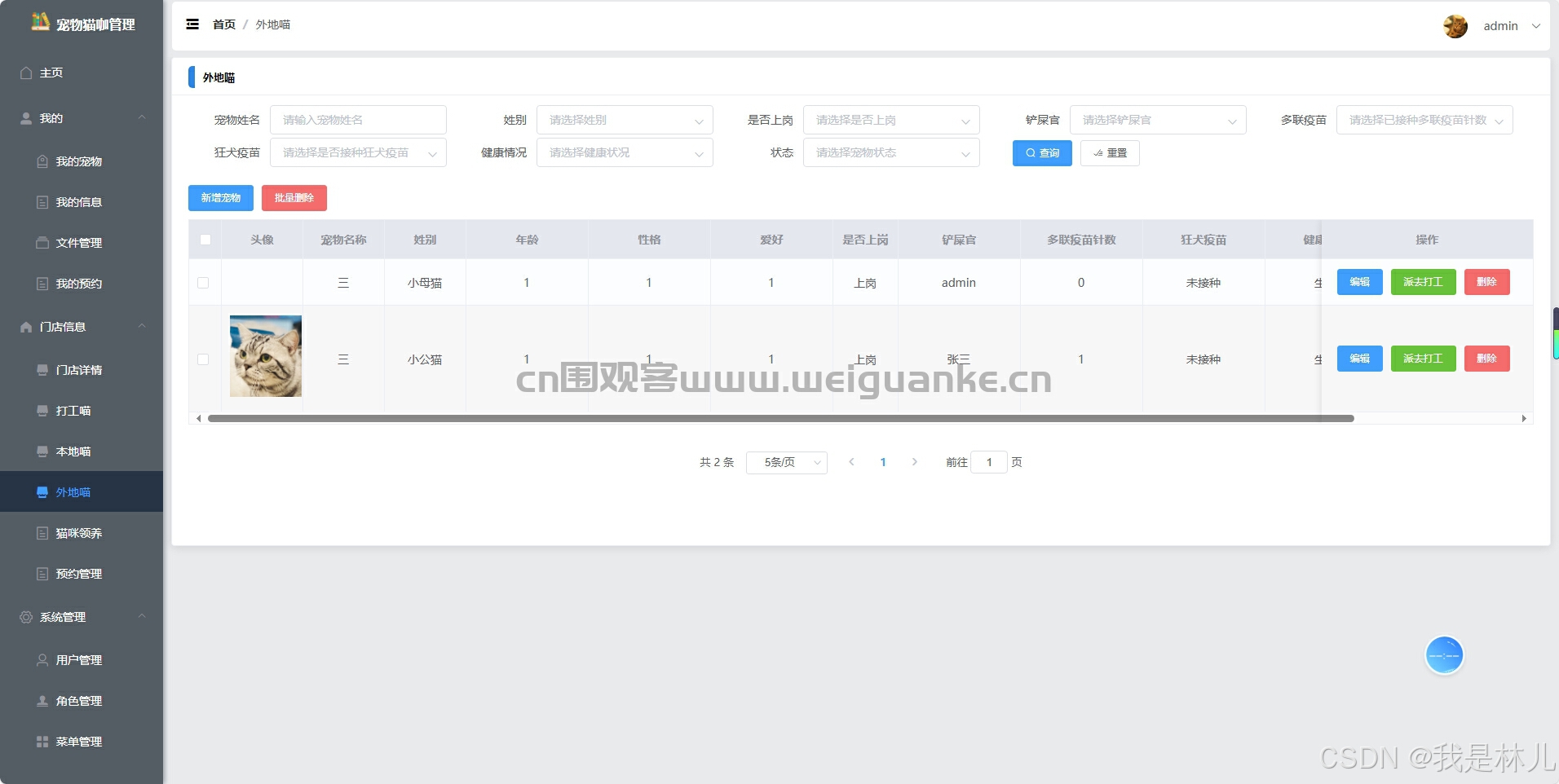 vue+springboot+猫咖管理系统-CSDN博客