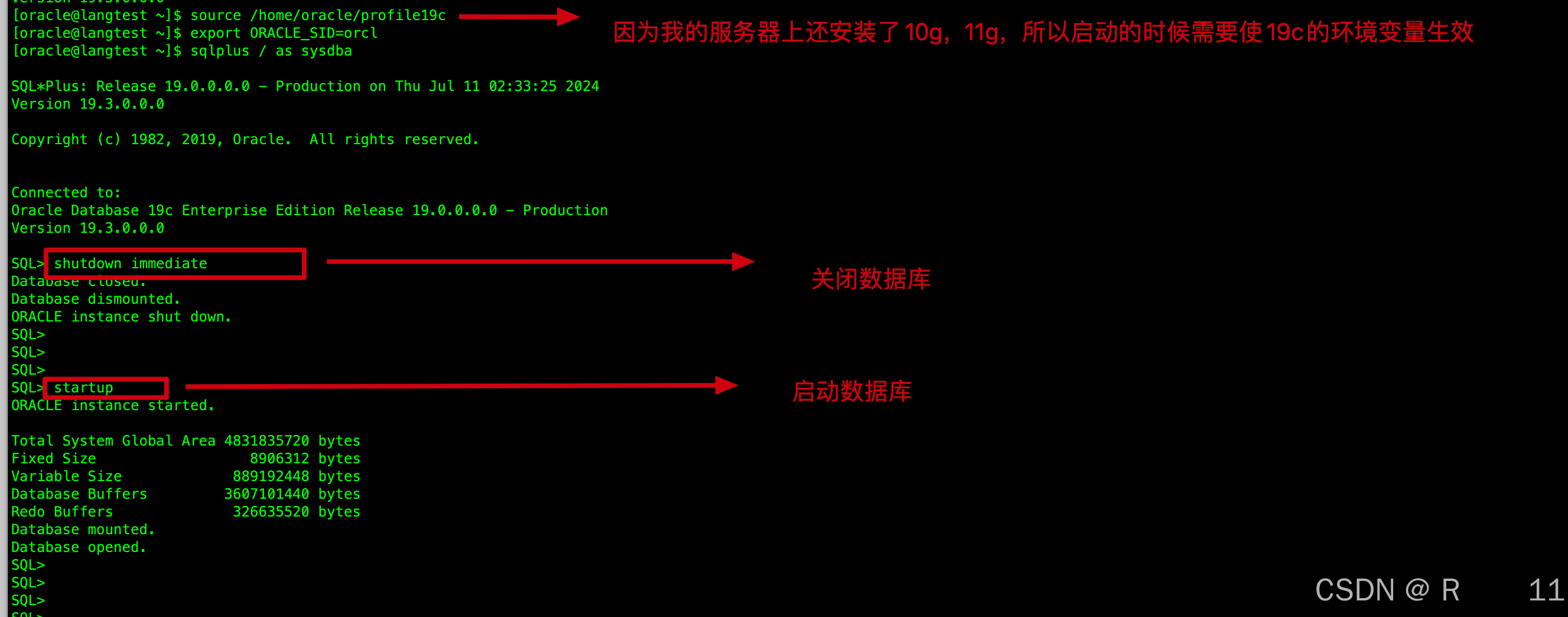 【Red Hat 4.6---详细安装Oracle 19c】---静默方式安装