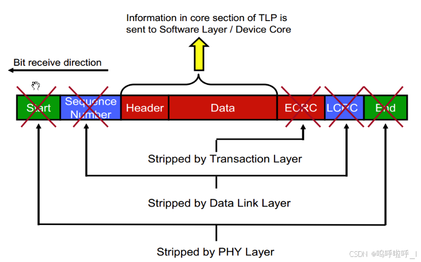 Pcie Encoding PCIe Spec V5.0阅读笔记(一)PCIe Intdoduction-CSDN博客