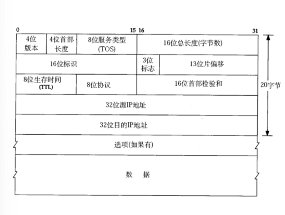 IP报头内部结构
