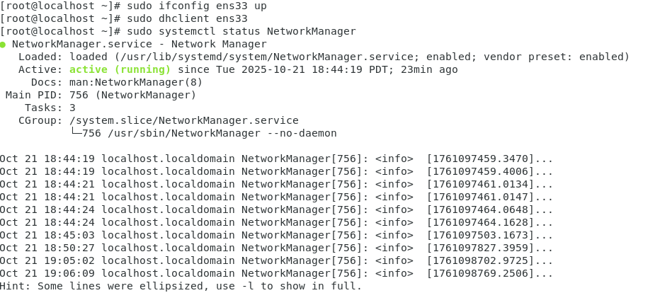 image-20251022103126385