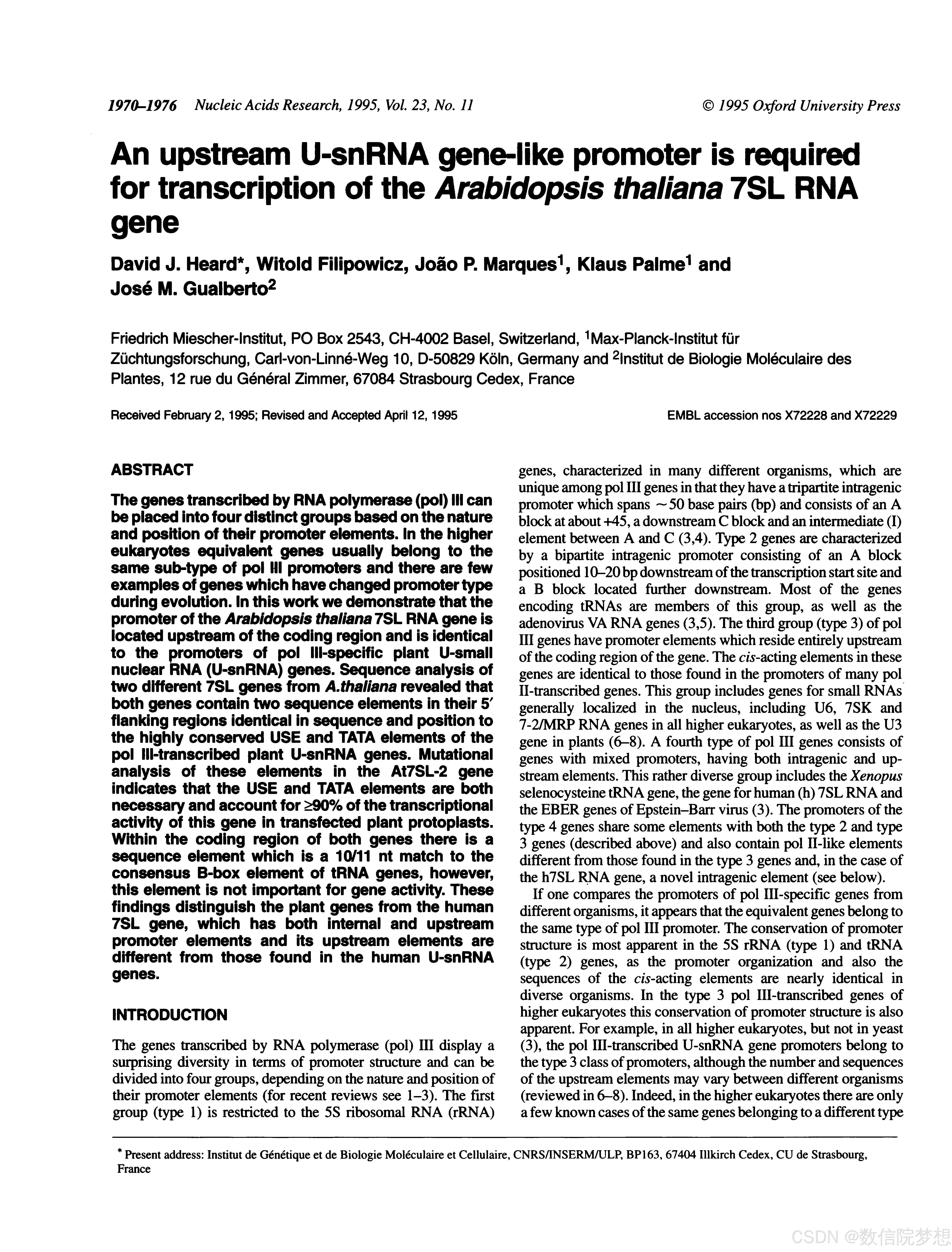 An upstream U-snRNA gene like promoter is required for transcription of ...