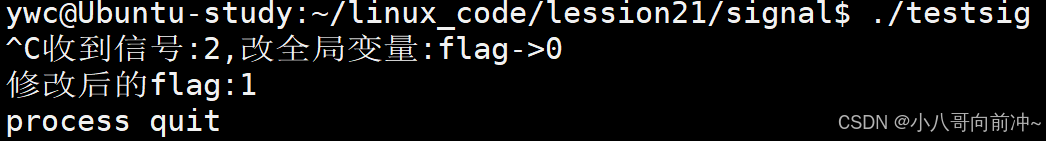 linux信号的捕捉