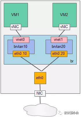 vlan