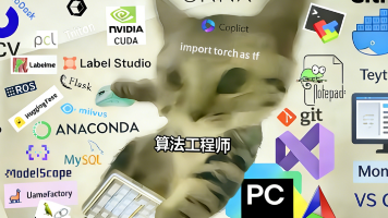 文章图片