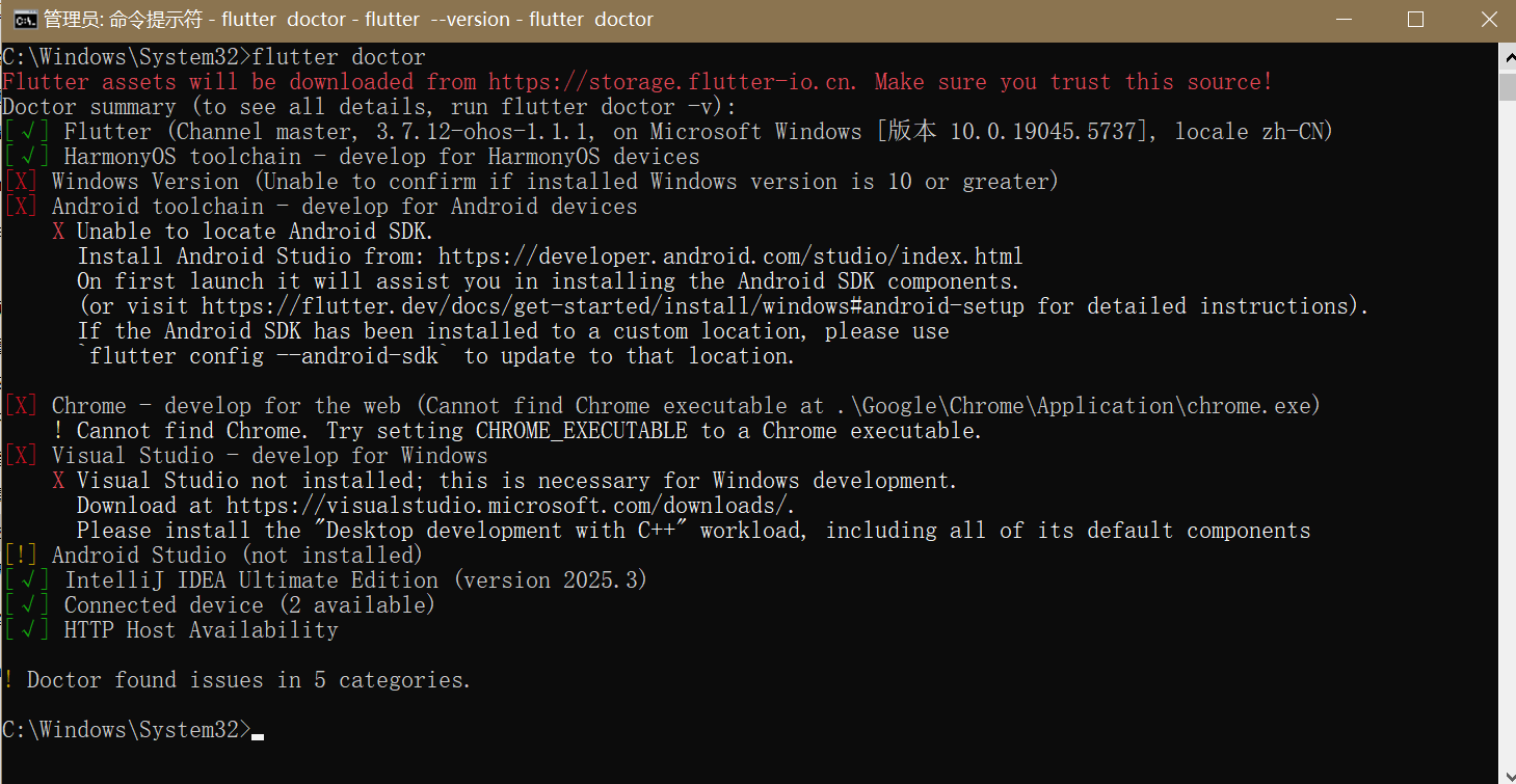 ![请插入截图：CMD 中 flutter doctor -v 运行全绿或主要项通过的截图]